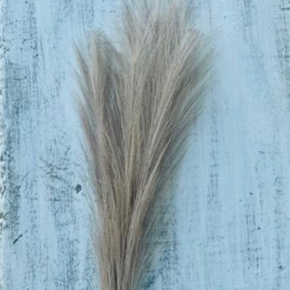 *Pampas Grass Pick, 28”, Bundle of 3 - Picture 8 of 10